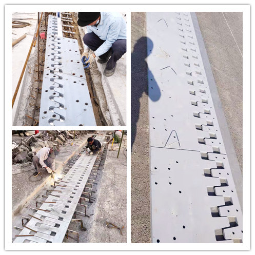 1627886863361753.png 40005b8283bc674258460732f49ffed_副本.png